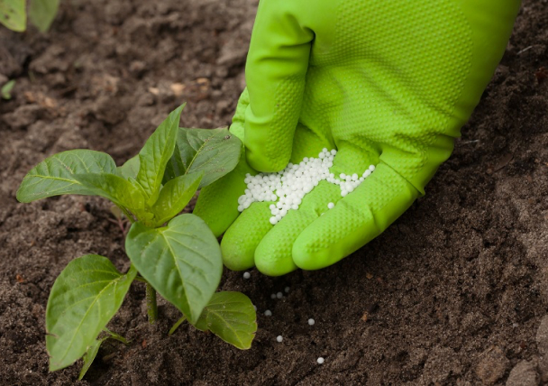 Nitrogen fertilizers